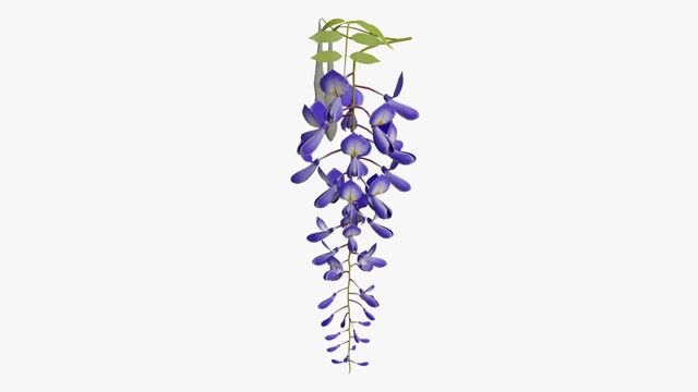 Textured Wisteria Painting, Purple Flowers, Impasto Art