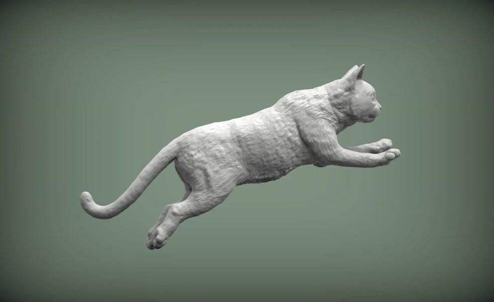 Abyssinian Cat 3D Print Model by Alexander3dart